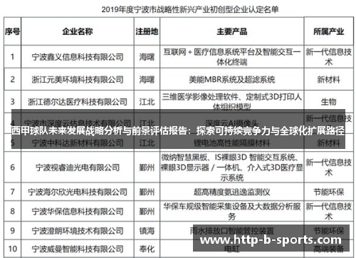 西甲球队未来发展战略分析与前景评估报告：探索可持续竞争力与全球化扩展路径