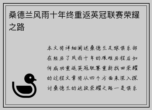 桑德兰风雨十年终重返英冠联赛荣耀之路