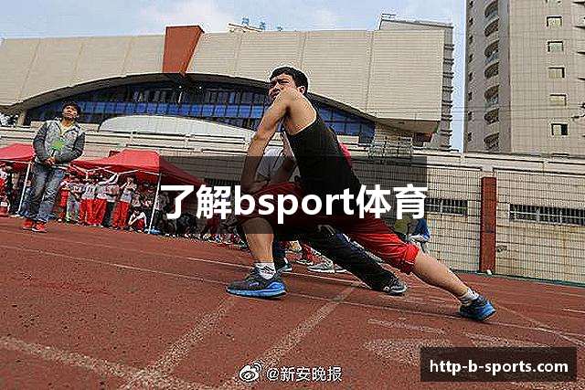 了解bsport体育